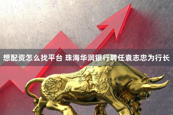 想配资怎么找平台 珠海华润银行聘任袁志忠为行长